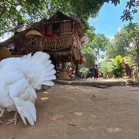 Humbhaha Jungle Yala Nature Eco Resort Kataragama Kültér fotó