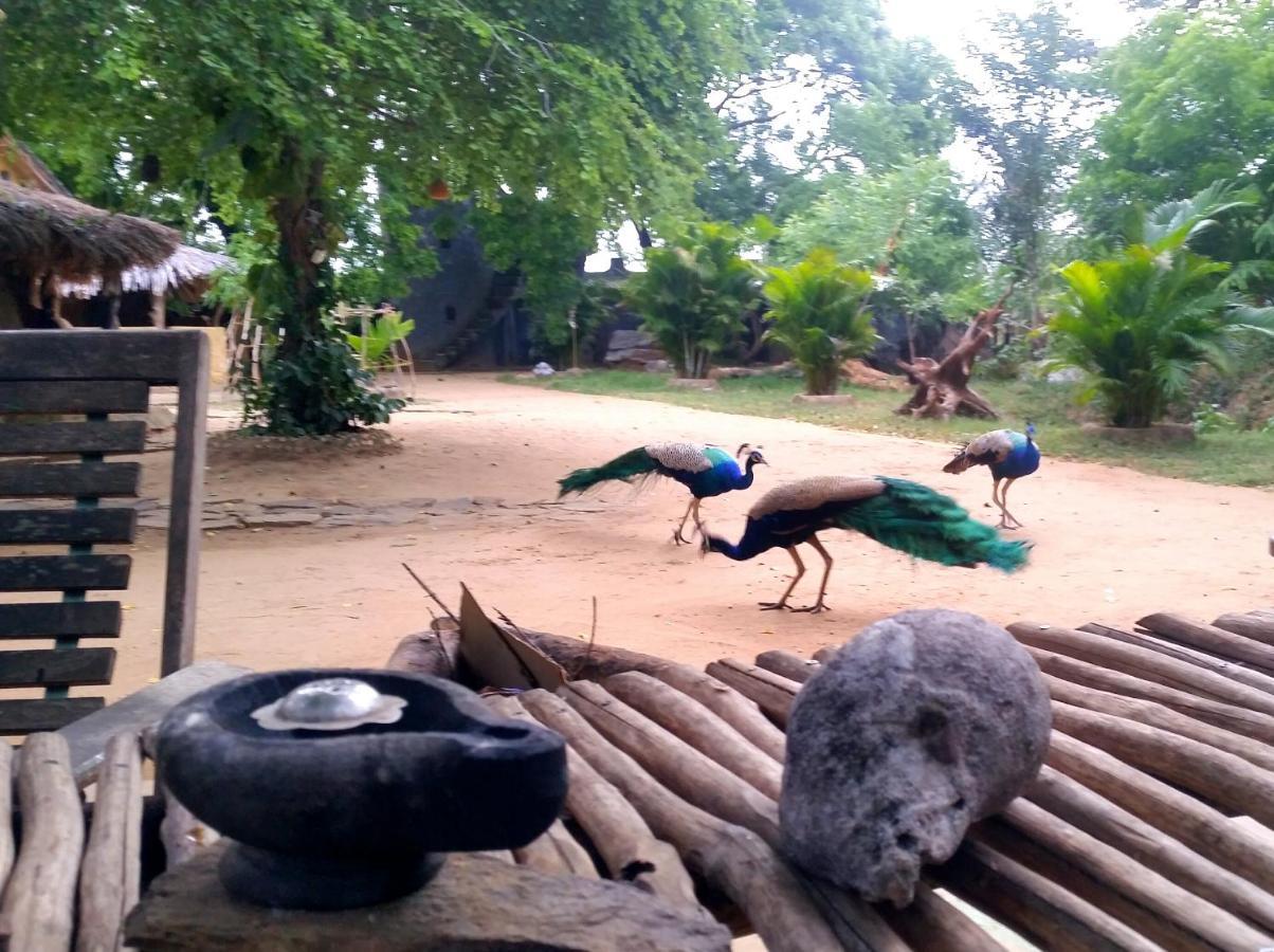 Humbhaha Jungle Yala Nature Eco Resort Kataragama Kültér fotó