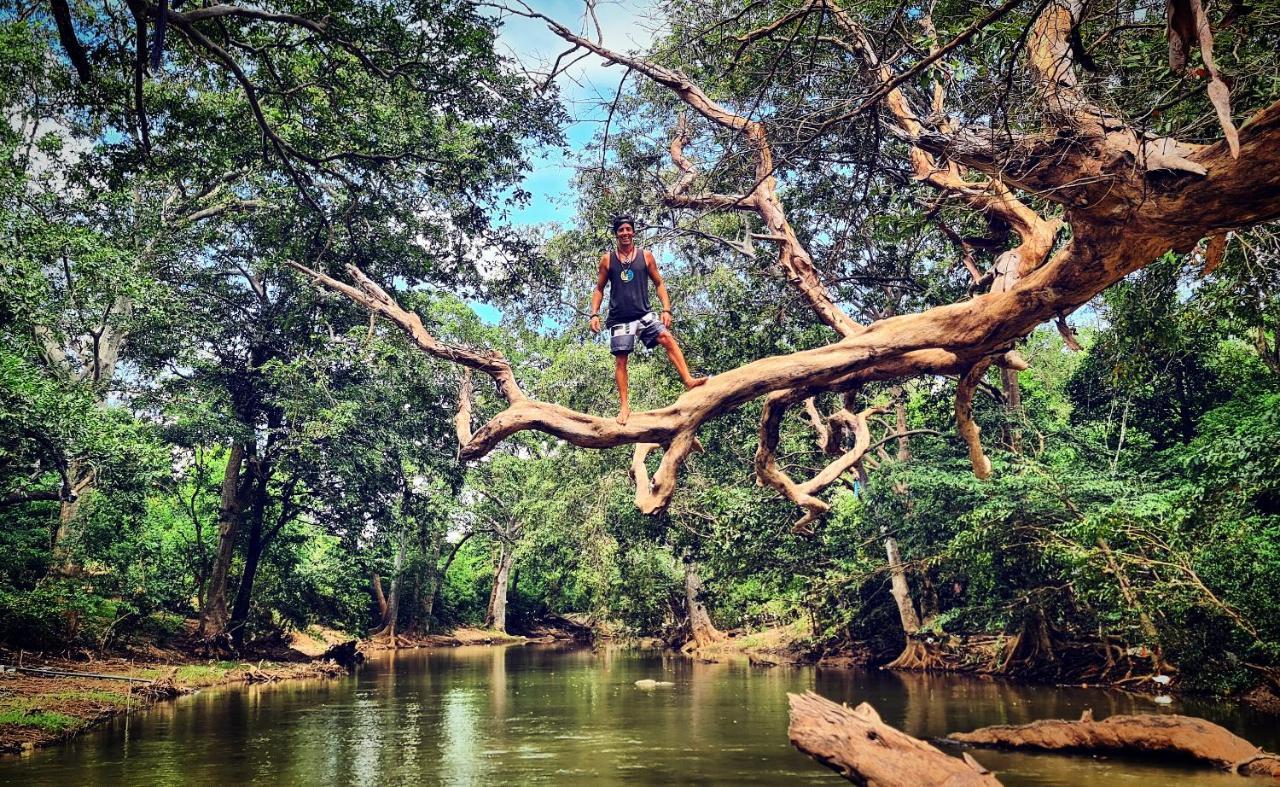Humbhaha Jungle Yala Nature Eco Resort Kataragama Kültér fotó