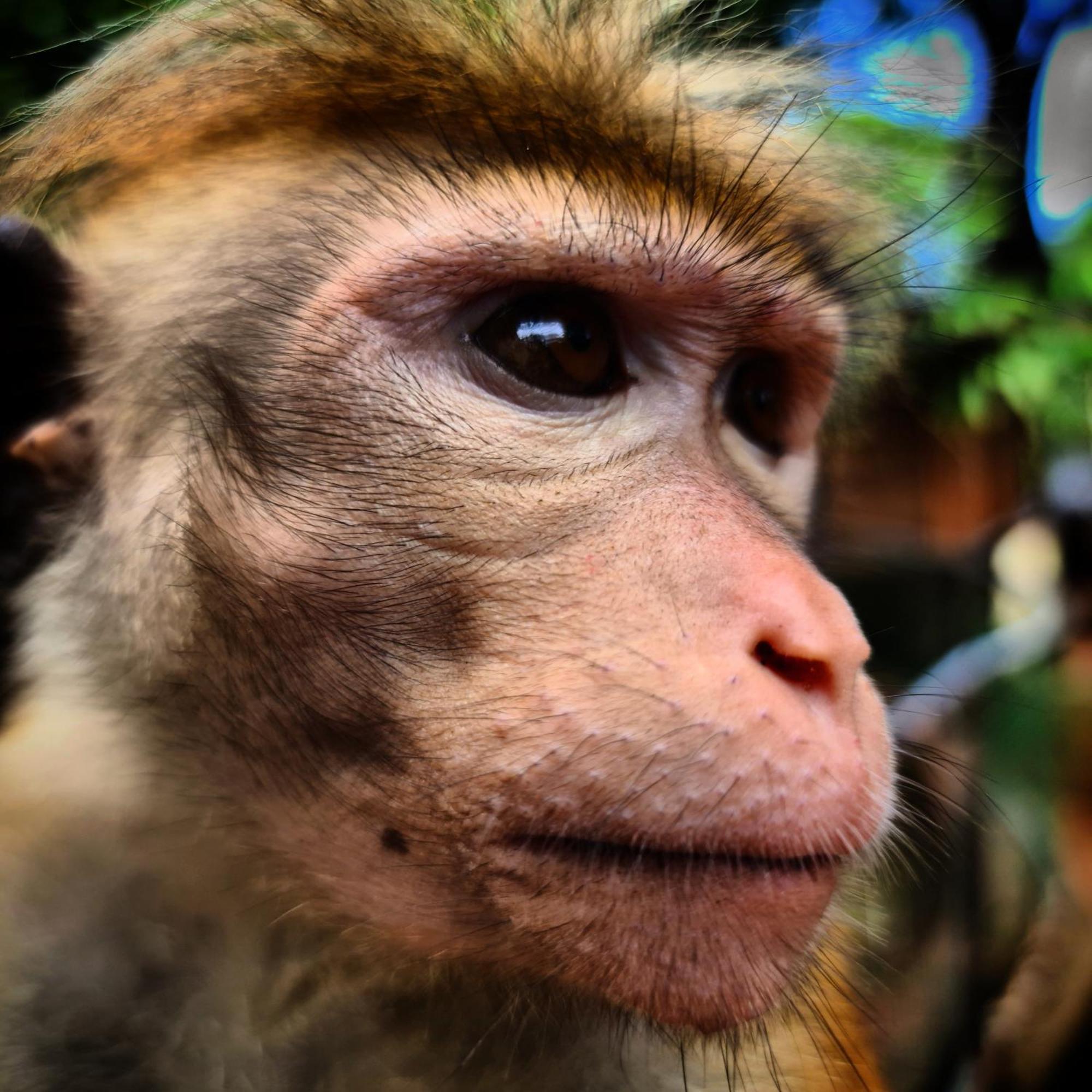 Humbhaha Jungle Yala Nature Eco Resort Kataragama Kültér fotó