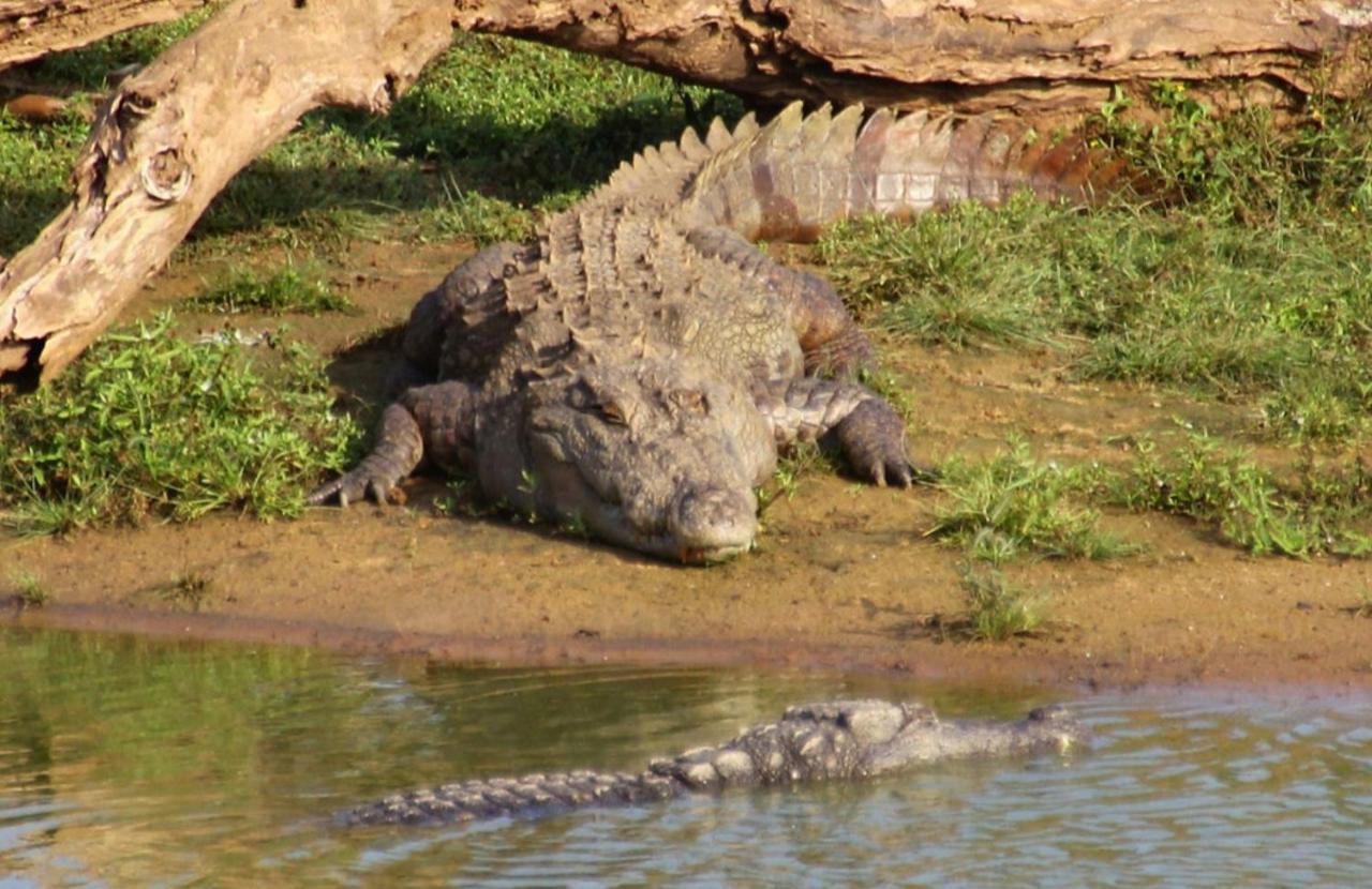 Humbhaha Jungle Yala Nature Eco Resort Kataragama Kültér fotó