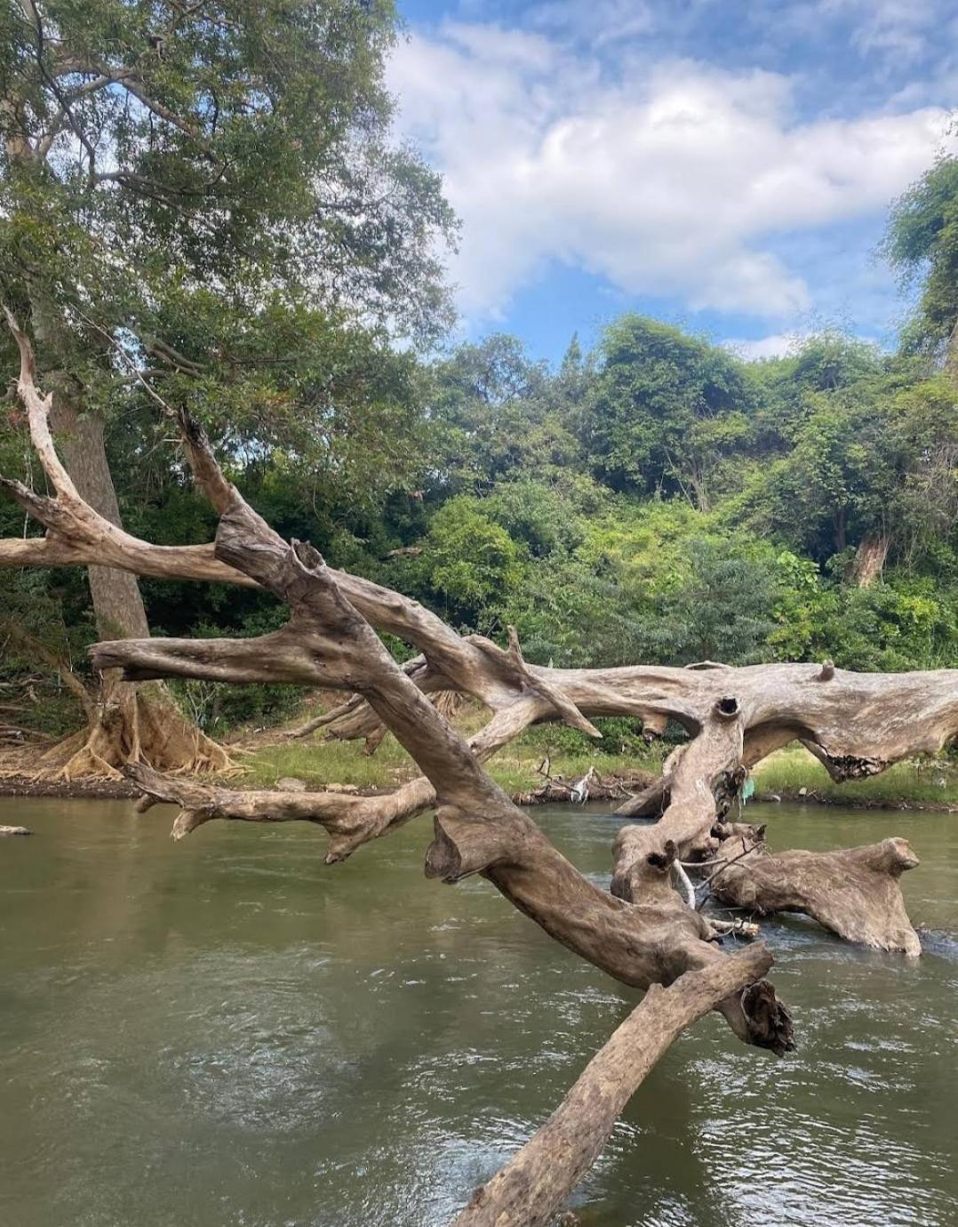 Humbhaha Jungle Yala Nature Eco Resort Kataragama Kültér fotó