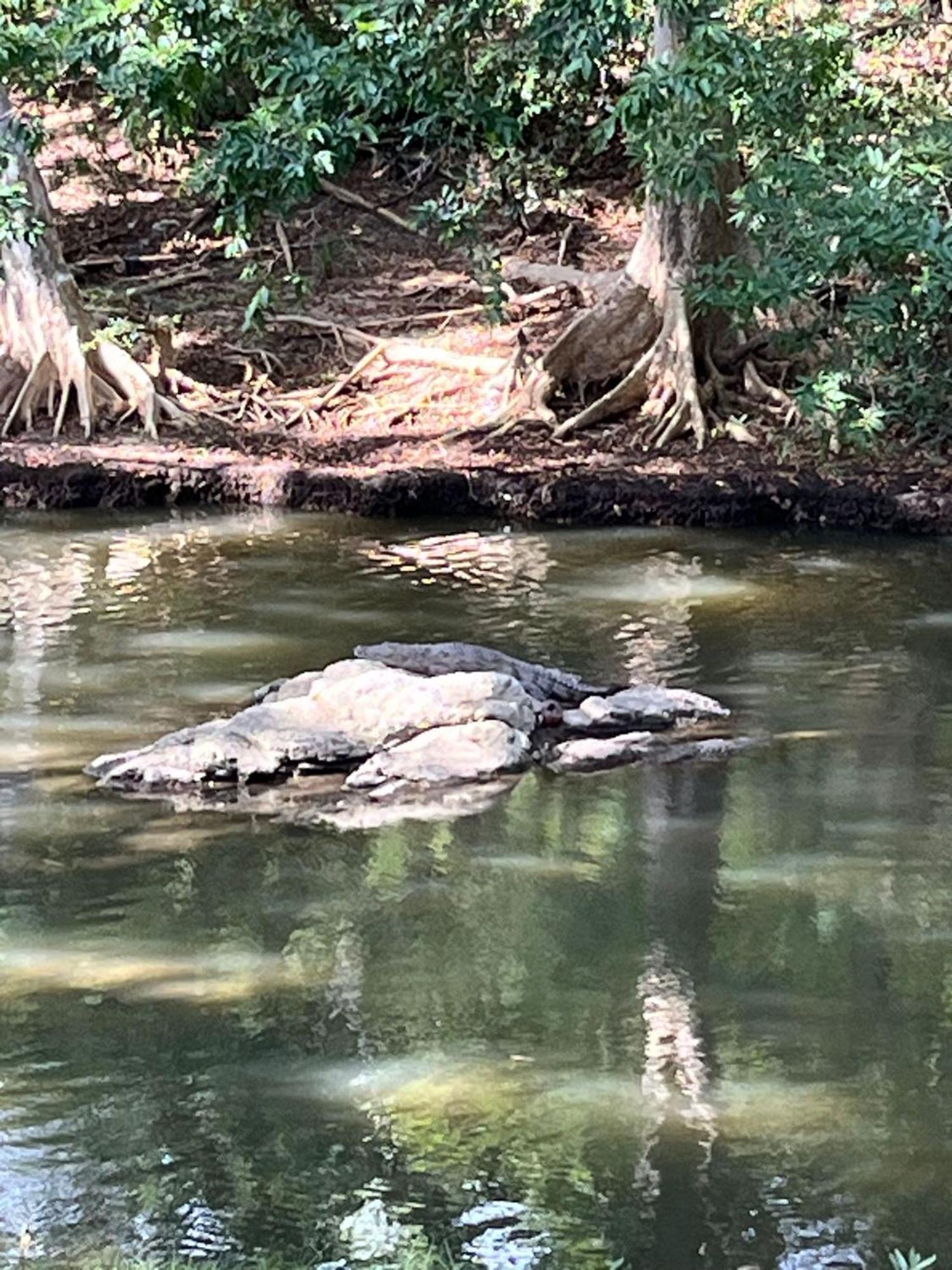 Humbhaha Jungle Yala Nature Eco Resort Kataragama Kültér fotó
