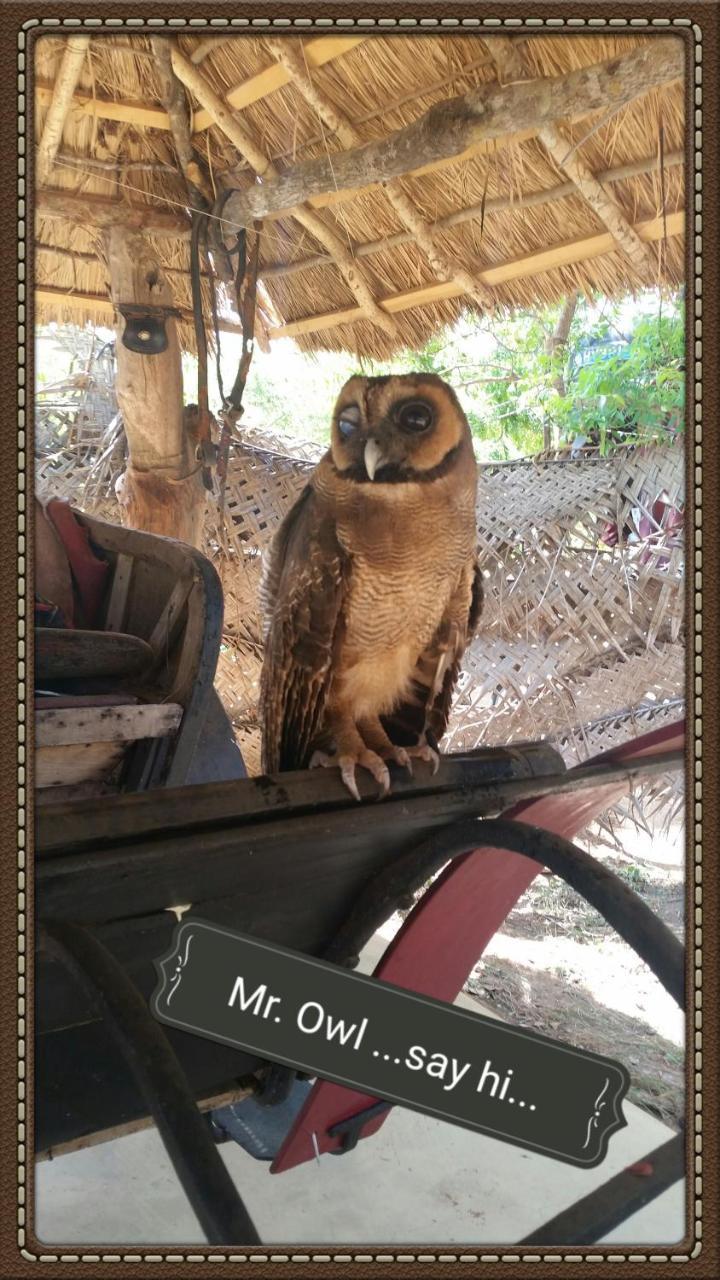 Humbhaha Jungle Yala Nature Eco Resort Kataragama Kültér fotó