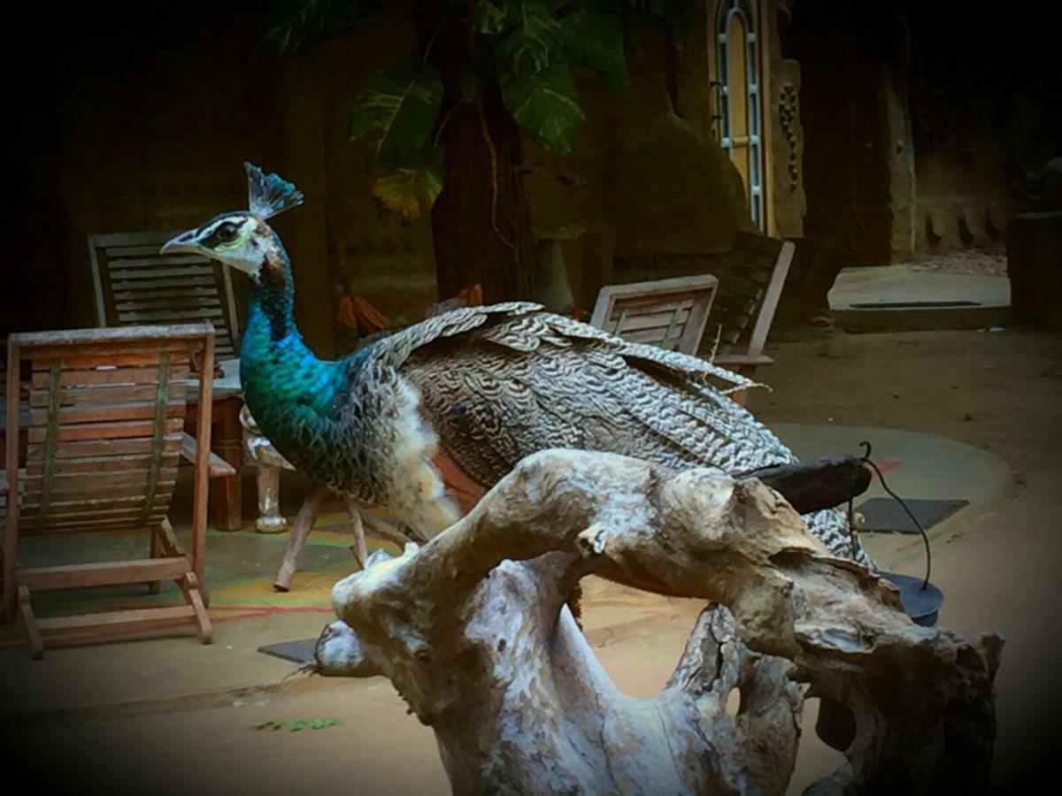 Humbhaha Jungle Yala Nature Eco Resort Kataragama Kültér fotó